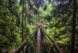 New Zealand 2025 (2 group) (31/84)